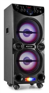 Fenton LIVE2104 karaokeset met Bluetooth, mp3 speler, 2 microfoons en