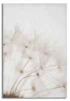 BEDRUKKEN MET VERFBLIK CM 80X3X120