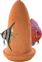 Superfish Afzetkegel