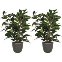 2x stuks groene ficus kunstplant 40 cm met plantenpot mat antraciet grijs D13.5 en H12.5 cm - thumbnail