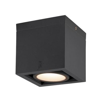 SLV Led plafondspotEskina - 1006316