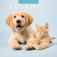 Cats and Dogs Kalender 2027