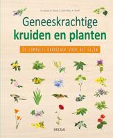 Geneeskrachtige kruiden en planten (Hardback)