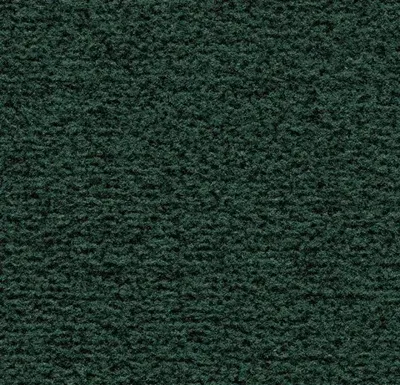 Coral Classic 4768 hunter green 205 cm breed