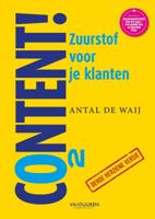 Content & AI (Paperback)