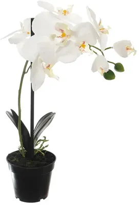 Pure Royal kunstplant orchidee 40cm crème