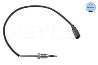 Sensor, uitlaatgastemperatuur 1148000098