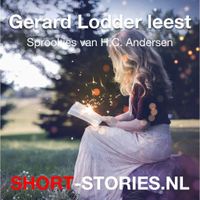 Gerard Lodder leest Andersen