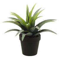 Kunstplant Agave Bush - groen met stekels - in zwarte pot - 18 cm