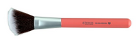 Benecos Blending Brush Blush