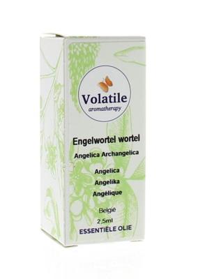 Volatile Engelwortel