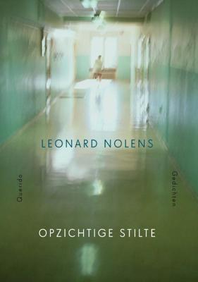 Opzichtige stilte (Paperback)