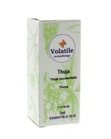 Volatile Thuja (Thuja Occidentalis) 5ml - thumbnail