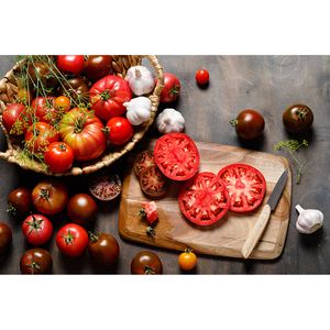 Spatscherm Tomaten - 80x60 cm
