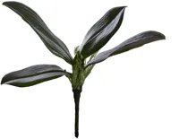 Pure Royal kunstplant orchidee 23cm groen