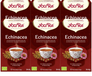 Yogi Tea Echinacea Voordeelverpakking