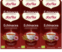 Yogi Tea Echinacea Voordeelverpakking - thumbnail