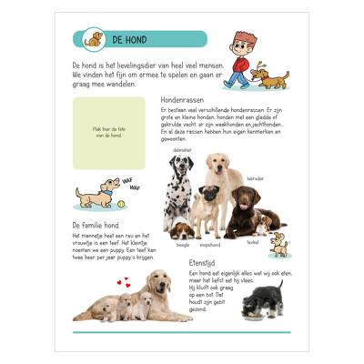 Deltas Stickerboek - dieren in huis en tuin
