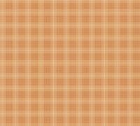 Architects Paper Art of Eden - Oranje - Geruit Behang - 390642