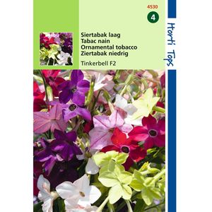 Hortitops - 2 stuks Nicotiana Nana Tinkerbell Gemengd