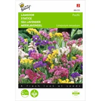Limonium, Lamsoor Pacific gemengd