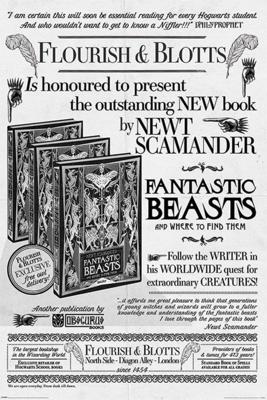 Poster Fantastic Beasts - the Crimes of Grindelwald Flourish and Blotts 61x91,5cm