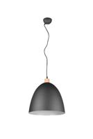 Trio Hanglamp Jagger Zwart met hout R30681932