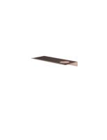 Hotbath &More Planchet 30 cm inclusief bevestigings rails met 1 uitsparing voor een zeepdispenser of beker Geborsteld koper PVD