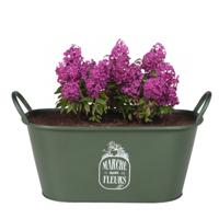 Plantenpot/bloempot teil voor buiten - zink - legergroen - L39 x B16 x H21 cm