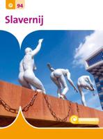 Slavernij (Hardback)