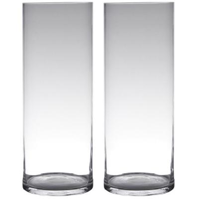 Hakbijl Glass cilinder Bloemenvaas - Set van 2x stuks - glas - transparant - D19 x H50 cm - Bloemen/ Hakbijl Glass cilinder Bloemenvaas - Set van 2x stuks - glas - transparant - D19 x H50 cm - Bloemen/
