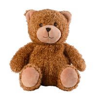 Warmte/magnetron opwarm knuffel teddybeer