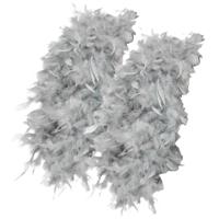 Luxe zilveren veren boa van 180 cm - 2x - 80 gram - carnaval verkleed spullen/accessoires