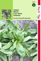 Zaden Veldsla Grote Noordhollandse Hortitops - Hortitops