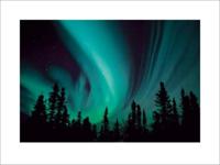 Kunstdruk Northern Lights 80x60cm