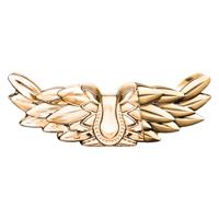 Zadig & Voltaire Zadig Eau de Parfum Intense 30ml