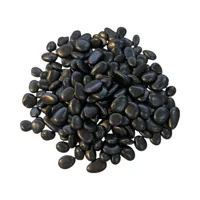 Zwarte Decoratieve Stenen - 5 kg