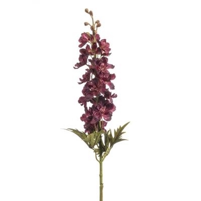 Delphinium