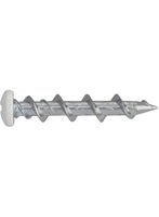 DeWalt Accessoires Walldog 32MM Bolkop WIT (100 stuks) - DFM425000P