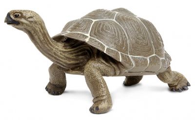 Safari speeldier Galapagos schildpad 22,5 cm bruin Safari speeldier Galapagos schildpad 22,5 cm bruin