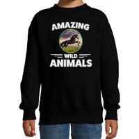 Sweater paarden amazing wild animals / dieren trui zwart voor kinderen - thumbnail