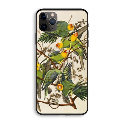Carolinaparkiet: iPhone 11 Pro Biologisch afbreekbaar hoesje