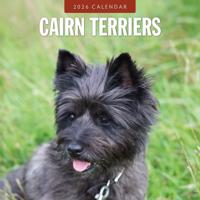 Cairn Terrier Kalender 2026