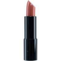 Sans Soucis Perfect Lips Every Day Lipstick 42 Touching Cashmere 4gr