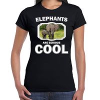 Dieren olifant t-shirt zwart dames - elephants are cool shirt - olifant met kalf - thumbnail