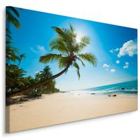 Schilderij - Strand met palmbomen, multi-gekleurd, scherpe print - thumbnail