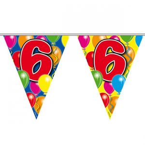 Leeftijd vlaggenlijnen 6 jaar 10 meter