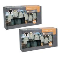 Feestverlichting lichtsnoer - 2x - blauw - 10 LED lampen - warm wit - 270 cm - Solar