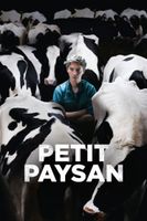 Petit Paysan (Bloody Milk) - DVD (8718836863837) - thumbnail