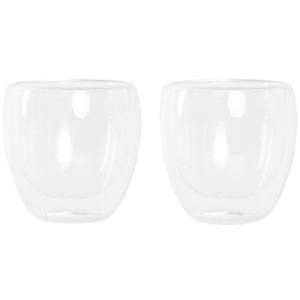 Koffieglazen/theeglazen dubbelwandig - set 2x - cappuccino glazen - 250 ml